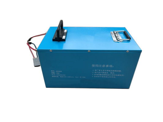 Lithium Ion Electric Vehicle Battery Pack 36V 100AH LiFePO4 de recharge